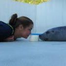 Profile Picture of April Gossmann (@gossmann) on Pinterest