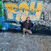 Profile Picture of David Stark (@david.york.1806) on Facebook