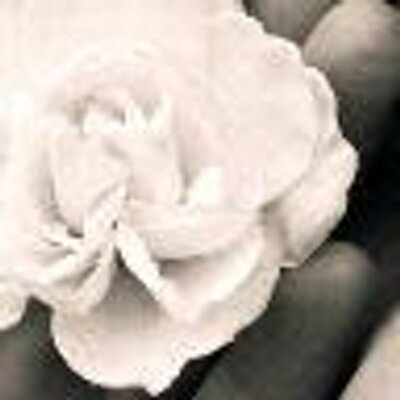 Profile Picture of Boram Kim (@borami042) on Twitter