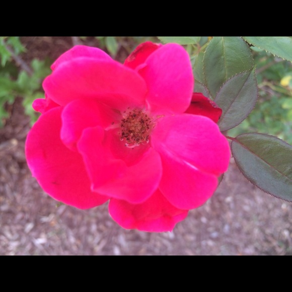 Profile Picture of Alex Lamothe (@lamothe2022) on Poshmark