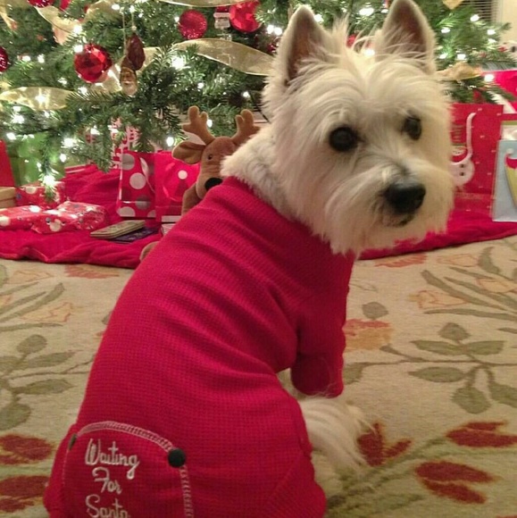 Profile Picture of Nancy Lerro (@nancylerro) on Poshmark