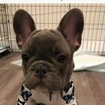 Profile Picture of Julius Thompson (@juliusthompson40) on Instagram