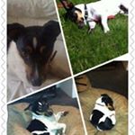 Profile Picture of Lisa Luxton (@luxtonlisa) on Instagram