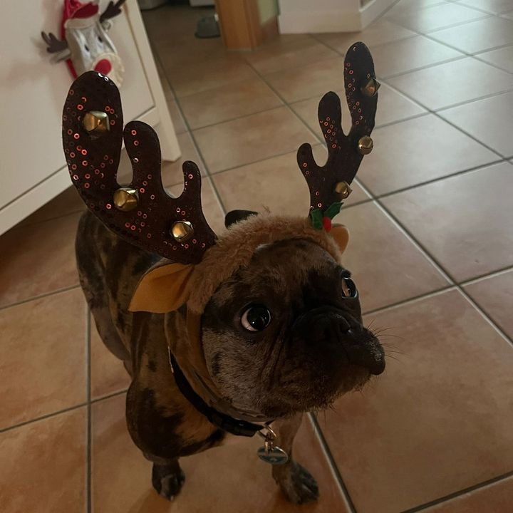 Profile Picture of andreebreuer (@andreebreuer) on Tiktok