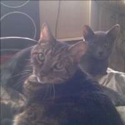 Profile Picture of John Gabriel (@EmerJency_) on Twitter