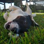 Profile Picture of Patrick McMaster (@patrick.mcmaster1) on Instagram