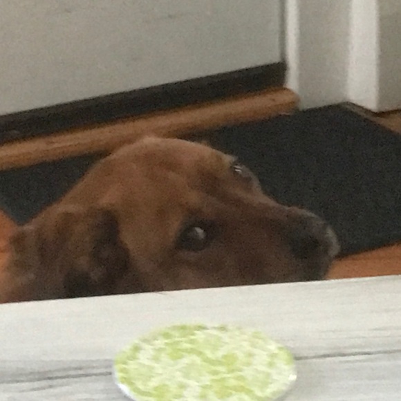 Profile Picture of Trey Relvas (@baller1224) on Poshmark