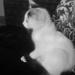 Profile Picture of david blazquez palacios (@davidblazquezpala) on Instagram