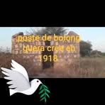 Profile Picture of Danos Khamis (@Danos-Khamis) on Facebook