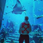 Profile Picture of Kevin Stüber (@kevin_state) on Instagram