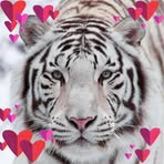 Profile Picture of Chris Bitsilly (@chris.bitsilly.923) on Facebook