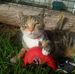 Profile Picture of Leisa Chugg (@leisa.chugg.3) on Facebook