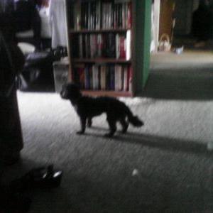 Profile Picture of Timothy St. Pierre (@timothyjstp3) on Twitter