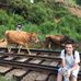 Profile Picture of Craig Howes (@craig.howes.31) on Facebook