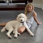 Profile Picture of Randy Stacey (@rsstacey) on Instagram