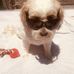 Profile Picture of Andrew Narayan (@andrew.narayan.503) on Facebook