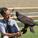 Profile Picture of Allan Gates (@meredownfalconry) on Instagram