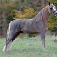 Profile Picture of Pam Shinn Allen (@pam-shinn-allen) on Quora