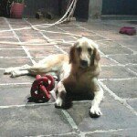 Profile Picture of Jerry Chao (@cjerry) on Instagram