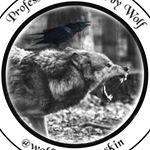 Profile Picture of Michael Blackbird (@thewolfandtheraven_) on Instagram