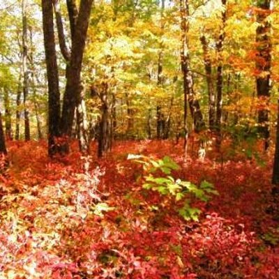 Profile Picture of Buddy Derrick (@Budro68) on Twitter