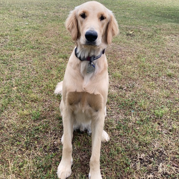 Profile Picture of Sierrah Pratka (@spratka12) on Poshmark