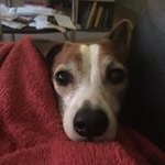 Profile Picture of K Dobbs (@knicole32847) on Instagram