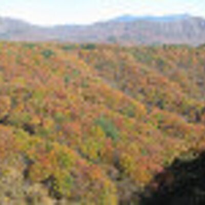 Richard Wakeman - Twitter Profile Picture of Richard Wakeman (@DC3RickWakeman) on Twitter