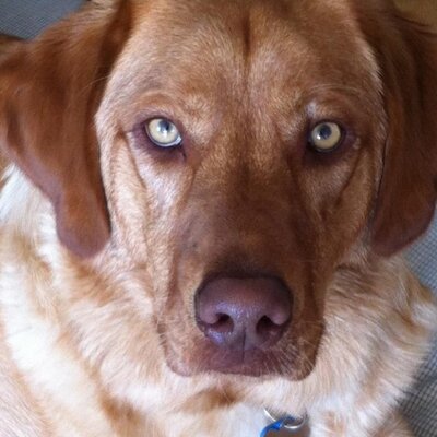 Profile Picture of Jo Bilodeau (@jobi22222) on Twitter