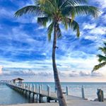 Profile Picture of Robert Bailor (@robertbailor) on Instagram