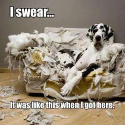 Profile Picture of Andrew Twiss (@rudgeren) on Twitter