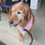 Profile Picture of Jason Stillwell (@jason.stillwell.73) on Instagram