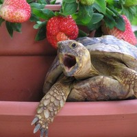 Profile Picture of Ling Bai (@ling-bai-14) on Quora