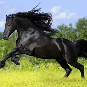 Profile Picture of Anand Shankar (@147907627) on Myspace