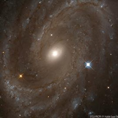 Profile Picture of Oliver Hare (@saddam497) on Twitter