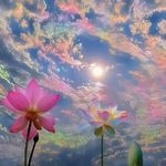 Profile Picture of Raquel Edwards (@raqy_edwards) on Instagram