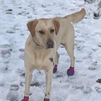 Profile Picture of Philippa Morgan (@philippa-morgan-2) on Quora