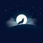 Profile Picture of hossein.tabrizi (@hossein.tabrizi5269) on Instagram