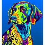 Profile Picture of Jim Pitcher (@pitcher.jim) on Instagram