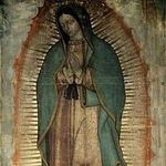 Leticia Mesa - Instagram Profile Picture of Leticia Mesa (@leticia.mesa.756) on Instagram