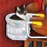 Profile Picture of Sam Shannon (@sam_shannonz) on Instagram