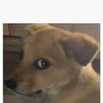 Profile Picture of Kenn Scara (@Kenn-Scara) on Facebook