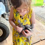 Profile Picture of Shawn Pimentel (@pimentelshawn) on Instagram