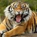Profile Picture of Hetul Patel (@hetul.patel.75641) on Facebook