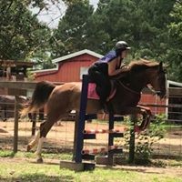 Profile Picture of Bree Watson (@bree-watson-8) on Quora