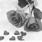 Profile Picture of Thomas Vankraken (@thomas_vankraken) on Instagram