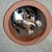 Profile Picture of Afton Wisner (@afton65) on Pinterest