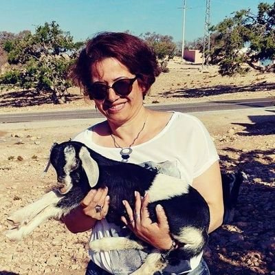 Profile Picture of Sigal Cohen (@SigalCohen4) on Twitter