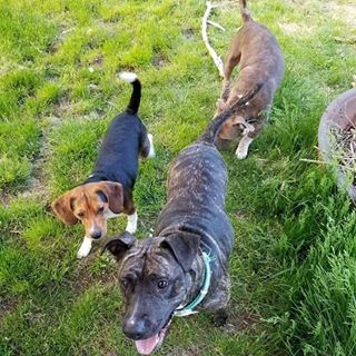 Profile Picture of Paul Gianninoto (@pgianninoto) on Facebook