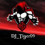 Profile Picture of DJ_Tiger09 (DHCJ) (@dustingottschling) on Instagram